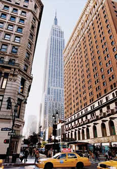 Translation Service new york city image